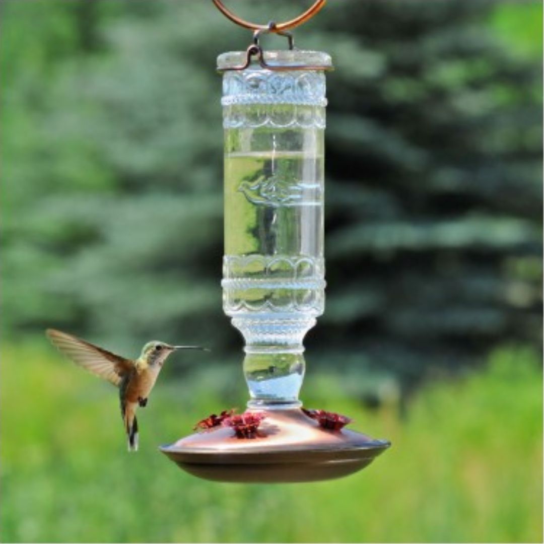 Antique Bottle Hummingbird Feeder – Clear – 10 oz